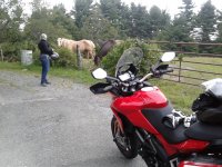 20170826_181657.jpg