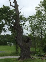 IMG_3702.JPG