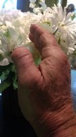 IMG_20200526_192057898.jpg
