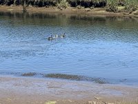 F815995A-981E-49AB-B037-664F5846FE97.jpeg