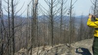 20150812_154903.jpg