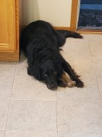 20200528_181256.jpg