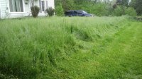 20200528_180742.jpg