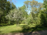 IMG_20200530_171555697.jpg