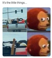 79294.jpeg