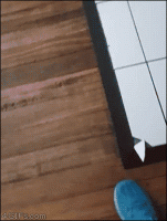 very-funny-gif-of-a-cat-that-comes-by-to-deliberately-cute-the-corner-of-the-tiles.gif