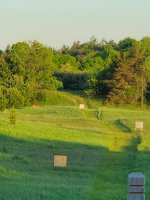 20200604_055746.jpg