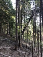 761781CE-61B7-4B0B-B33C-17FD1BAFBFE7.jpeg