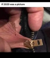 79756.jpeg