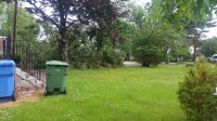 20200606_093419.jpg