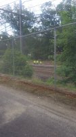 20200606_093933.jpg