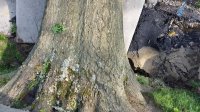 20200606_172244.jpg