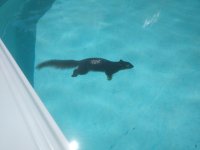 IMG_20200607_114152904.jpg