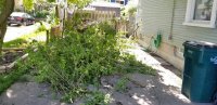 20200607_112802.jpg
