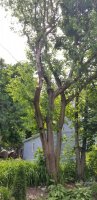 20200607_150842.jpg