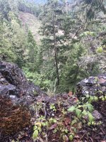 D12E65F0-7B4C-4565-9759-03E60E2A9EE9.jpeg