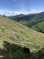 4186527D-C5E1-4451-AA80-D5E6C2DDCA49.jpeg