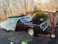 image (12).jpeg image (12).jpeg