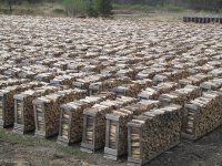 Firewood Racks.jpg