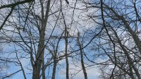 IMG_20200425_110619.jpg