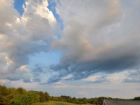 20200619_055148.jpg
