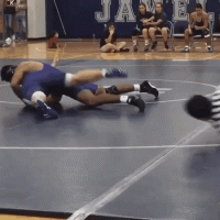 giphy (2).gif