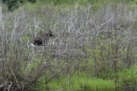 DSC01087.jpg
