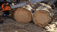 590 42in gif.gif