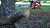 ported 303t pine gif.gif