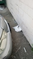 20200707_055732.jpg