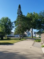 20200710_074931.jpg