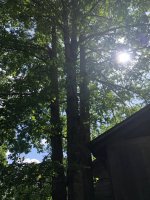 6E5A7A5C-AF68-4FD6-AB8F-7796E51496BC.jpeg