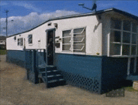 CraftyCreativeGrosbeak-max-1mb.gif