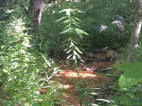 20200713_161427.jpg