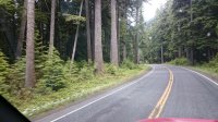 lake crescent fir trees 010.JPG