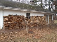IMG_2820.JPG