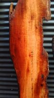 IMG_20160629_160951_5.jpg