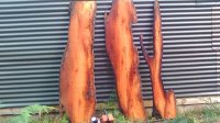 IMG_20160629_160924.jpg
