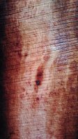 IMG_20160629_161005.jpg