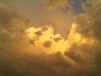 20200715_201603_001.jpg