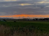 CDB635F7-9D19-483B-9D2F-A0B1489C24E6.jpeg