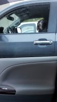 20200717_203641.jpg