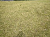 IMG_20200719_163722.jpg
