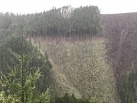 B2751803-F003-44D1-AD4B-EAEEA5F153C2.jpeg
