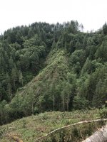 E01E6781-8C2D-4AD0-9088-7DBA986B61DF.jpeg