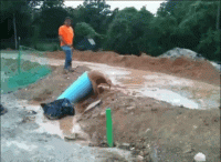 giphypoo.gif