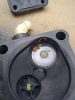 IMG_20200725_163731.jpg
