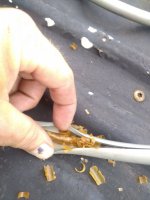 IMG_20200725_180904.jpg