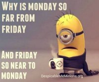 Monday.jpg