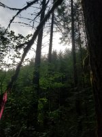 20200727_074915.jpg